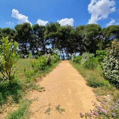 In With Pool Near Du Jouarres Villa Olonzac